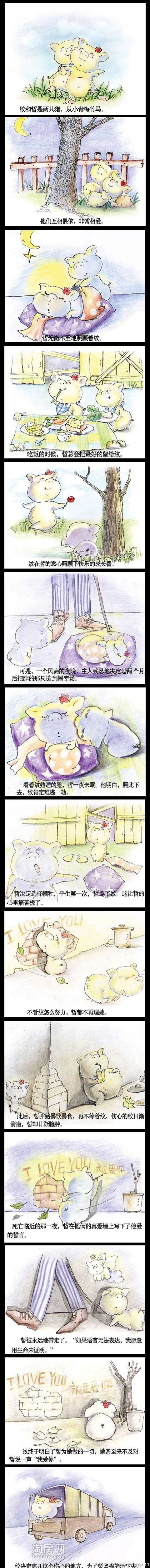 分享猪猪的爱情455 / 作者:复古的仙人掌 / 帖子ID:161