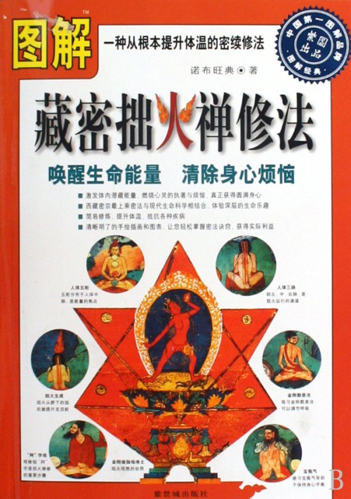 气的通道-脉轮913 / 作者:伤我心太深 / 帖子ID:571