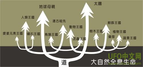 2012预言SSOA版本444 / 作者:伤我心太深 / 帖子ID:809