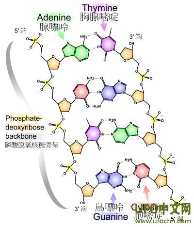 2012预言易经版本579 / 作者:伤我心太深 / 帖子ID:810