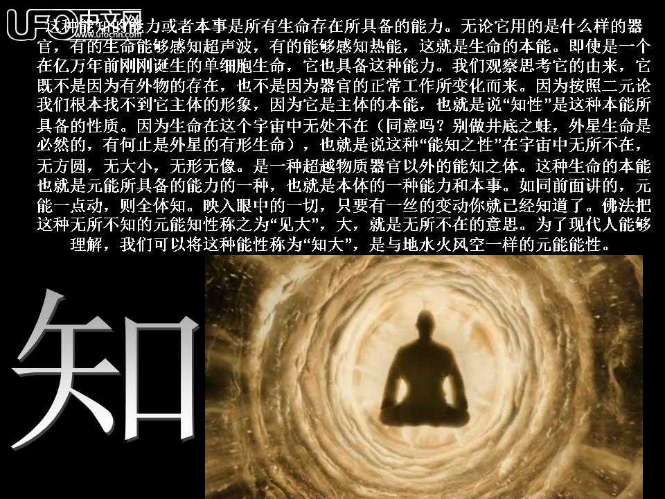 转：如风去来【自由意志一】35 / 作者:山东老妖 / 帖子ID:1403
