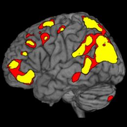 科学家寻找&quot;精神时间旅行&quot;的证据304 / 作者:伤我心太深 / 帖子ID:1704