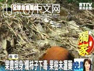 野鸟集体死亡追踪调查：疾病 气候 中毒？391 / 作者:伤我心太深 / 帖子ID:2135