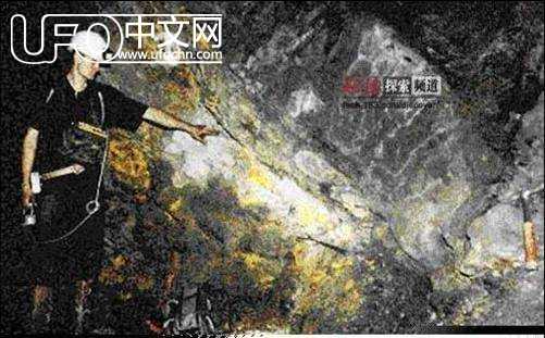 否定达尔文进化论假说的科学证据【图文（下）】542 / 作者:hhak003 / 帖子ID:2693