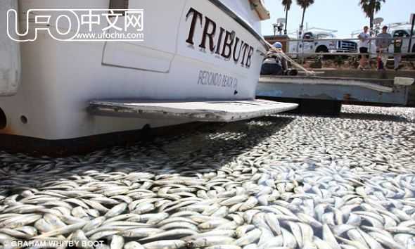 美一组织计算精确世界末日 今年5月21日地震将至991 / 作者:伤我心太深 / 帖子ID:2710