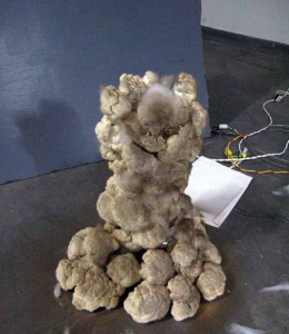 教大家如何在家中制作核爆炸【一般情况下不开玩笑】8 / 作者:伤我心太深 / 帖子ID:3228