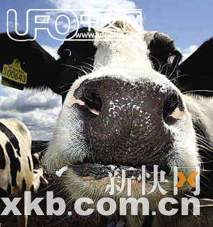 FBI档案称外星人曾掳走8000奶牛 残忍肢解(图)56 / 作者:hhak003 / 帖子ID:3638