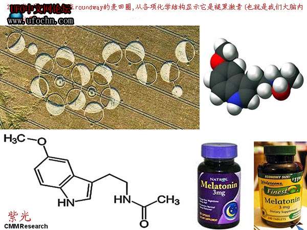 最近的麦田圈   疯了..653 / 作者:山东老妖 / 帖子ID:5642