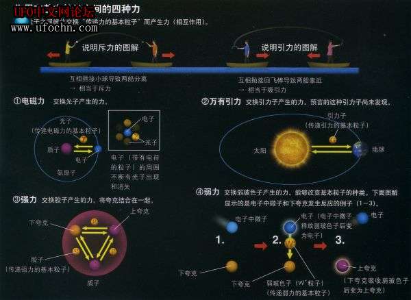 传递力的基本粒子786 / 作者:伤我心太深 / 帖子ID:5893