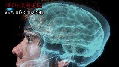 科学家认为智力与基因有关199 / 作者:心灵 / 帖子ID:6066