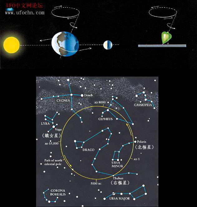 北极星的特殊位置671 / 作者:王金甲 / 帖子ID:6177