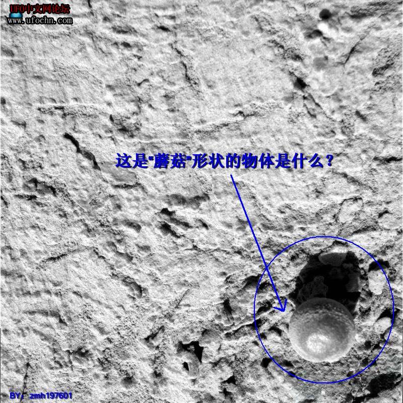 火星照片上发现奇怪的“蘑菇”形状物体178 / 作者:zmh197601 / 帖子ID:6425