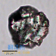 星尘证实陨石起源322 / 作者:伤我心太深 / 帖子ID:6642