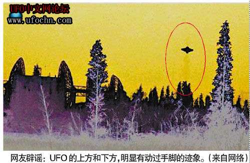三水荷花世界惊现UFO？假的！223 / 作者:伤我心太深 / 帖子ID:7086
