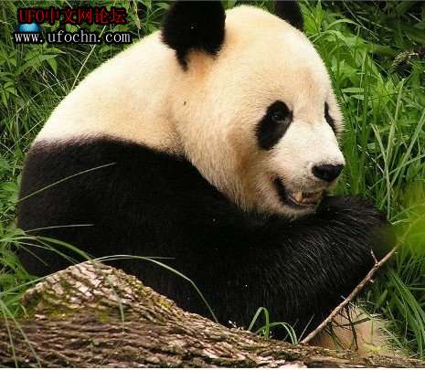 小小细菌对改善地球环境十二大作用8 / 作者:伤我心太深 / 帖子ID:7444