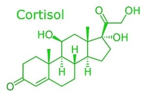 科学新发现分子作用 人类记忆可根据需要删除656 / 作者:伤我心太深 / 帖子ID:7672