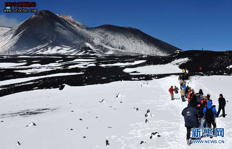 探访欧洲最高的活火山   埃特纳火山【组图】928 / 作者:伤我心太深 / 帖子ID:7877