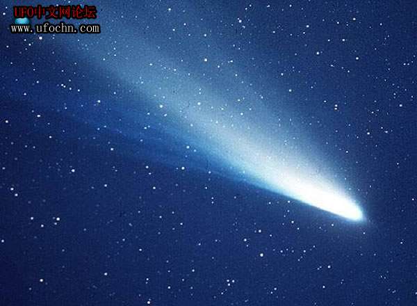 百年哈雷彗星 一个世纪内拍摄到的哈雷彗星185 / 作者:伤我心太深 / 帖子ID:8264