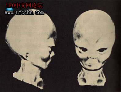 全球著名UFO事件：UFO中发现说猫语的外星人73 / 作者:宇宙文明 / 帖子ID:8585