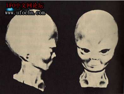 ȫUFO¼UFOз˵è784 / : / ID:8585