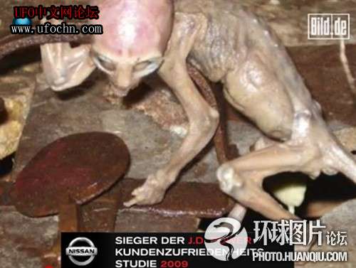 意大利女子产下“外星人”震惊欧洲863 / 作者:伤我心太深 / 帖子ID:8936