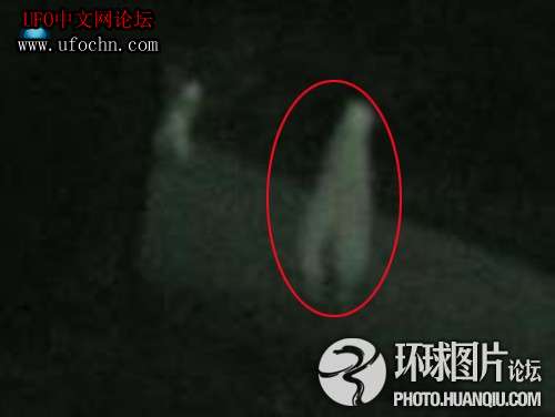 意大利女子产下“外星人”震惊欧洲967 / 作者:伤我心太深 / 帖子ID:8936