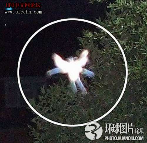 意大利女子产下“外星人”震惊欧洲57 / 作者:伤我心太深 / 帖子ID:8936