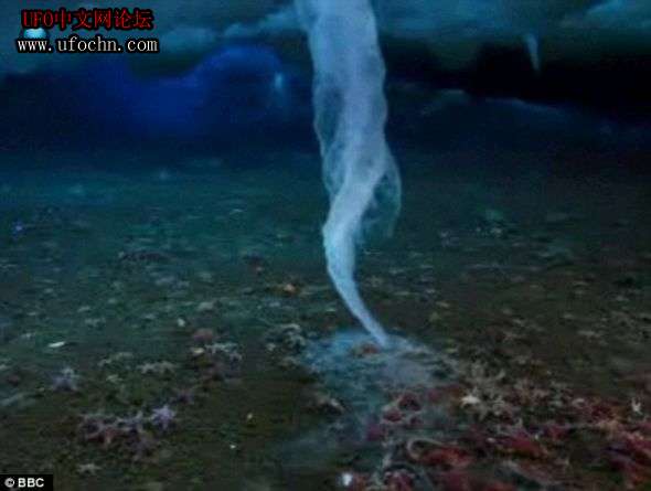 冰柱沉入南极海底奇景：沿途生物惨遭冻结669 / 作者:伤我心太深 / 帖子ID:9056
