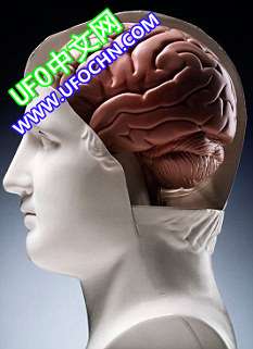 新研究发现人类智商进化已到极限(图)723 / 作者:伤我心太深 / 帖子ID:9477