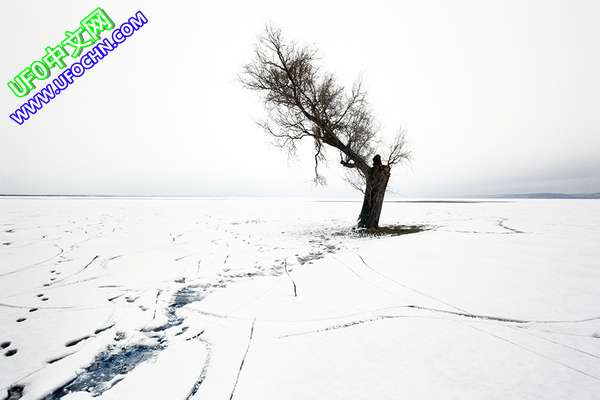 寂静的冬季 给大家发几十张唯美的冬季摄影照片【组图】587 / 作者:伤我心太深 / 帖子ID:9826