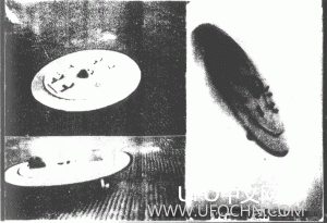 希特勒的罗斯威尔事件：1937年坠毁于德国的飞碟992 / 作者:ZERO煌 / 帖子ID:12898
