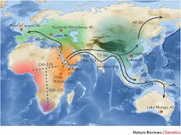 透过DNA分子时钟了解人类的进化历程379 / 作者:hhak003 / 帖子ID:15799