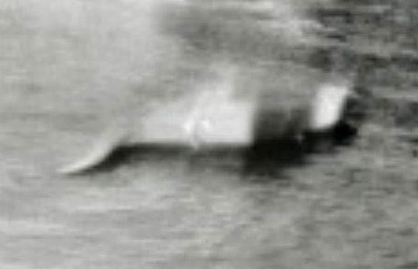 著名的尼斯湖水怪照片已经出现80年了425 / 作者:UFO中文网 / 帖子ID:16467