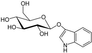 隐居的绝世高手：中药“板蓝根”357 / 作者:伤我心太深 / 帖子ID:16556