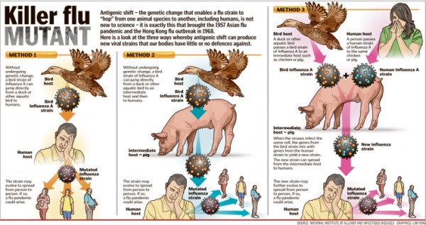 H7N9٣ѰҲԴ740 / :̫ / ID:16557