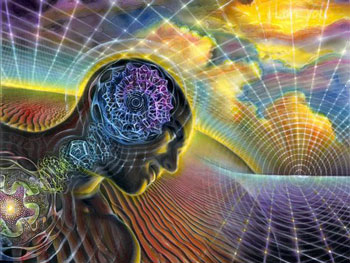 科学揭秘：如何破解梦境313 / 作者:UFO中文网 / 帖子ID:16591