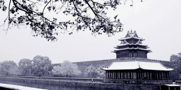 资料：那些消失于记忆中的谜团【组图】965 / 作者:伤我心太深 / 帖子ID:16625