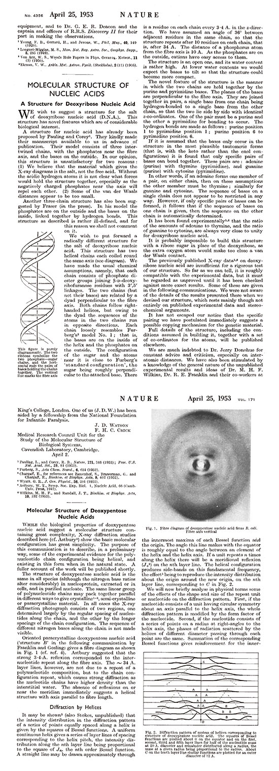 基因DNA双螺旋被人类发现60周年132 / 作者:UFO中文网 / 帖子ID:16686