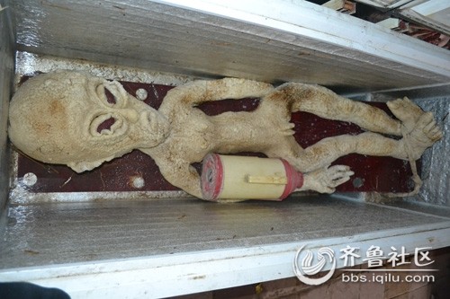 用电就能电死外星人,并冰冰箱里？绝对不可能！24 / 作者:UFO中文网 / 帖子ID:16833