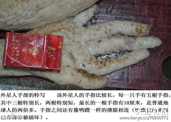 用电就能电死外星人,并冰冰箱里？绝对不可能！185 / 作者:UFO中文网 / 帖子ID:16833