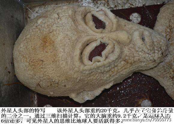 用电就能电死外星人,并冰冰箱里？绝对不可能！247 / 作者:UFO中文网 / 帖子ID:16833