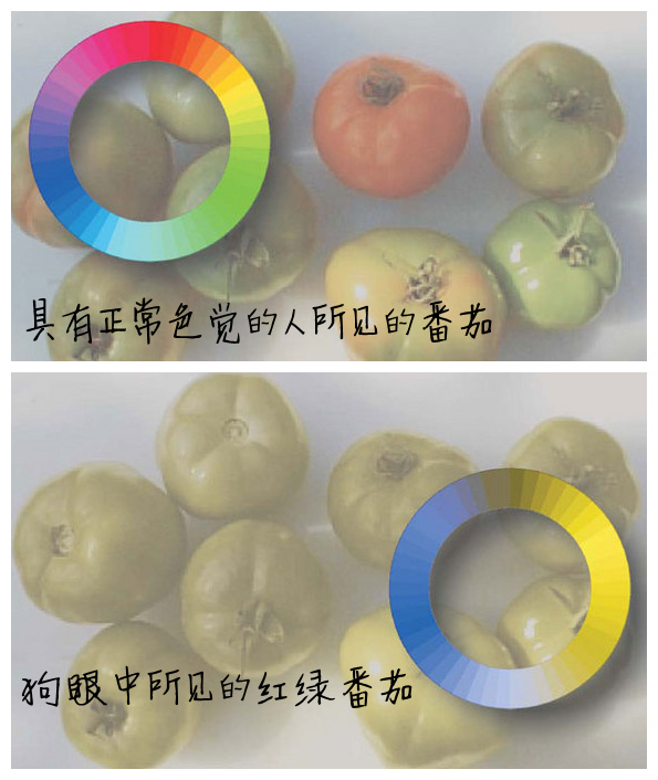 黑夜所给我们的黑色眼睛  让我们看见不一样的世界240 / 作者:UFO中文网 / 帖子ID:16980