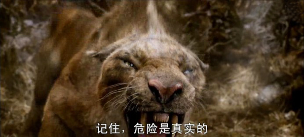 《重返地球》哪些物种可能会在人类消失后占领地球？831 / 作者:伤我心太深 / 帖子ID:17061