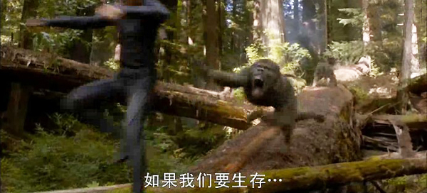 《重返地球》哪些物种可能会在人类消失后占领地球？180 / 作者:伤我心太深 / 帖子ID:17061