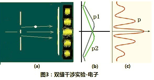 走近量子纠缠（1）薛定谔的猫800 / 作者:伤我心太深 / 帖子ID:17201