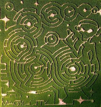 科学家惊人言论：外星人已抵达地球38 / 作者:hhak003 / 帖子ID:17254