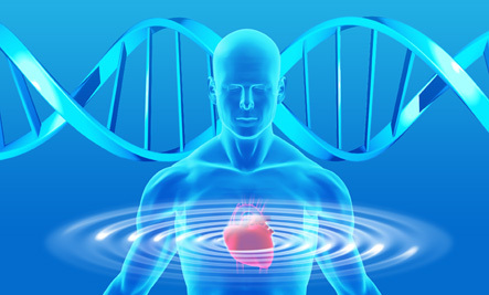 情绪有可能改变你的DNA620 / 作者:UFO中文网 / 帖子ID:17269