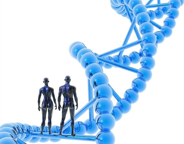 人类运动时能承受哪些极限？141 / 作者:UFO中文网 / 帖子ID:17315