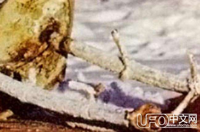 人类航天史上坠毁的航天器们884 / 作者:UFO中文网 / 帖子ID:17925