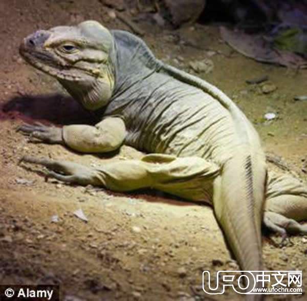 谷歌月球上发现外星人月球基地或神秘月球飞船？422 / 作者:UFO中文网 / 帖子ID:18026